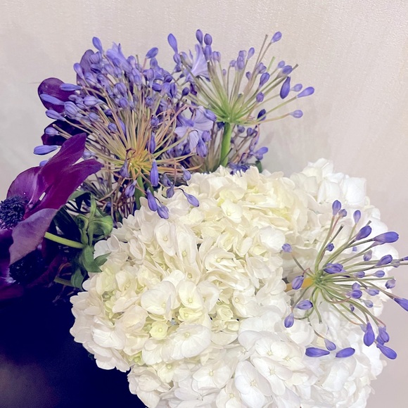 Meet your Posher, Clea - Picture 1 of 1